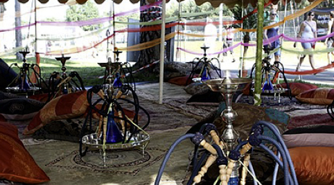 Televisieprogramma act met slangen