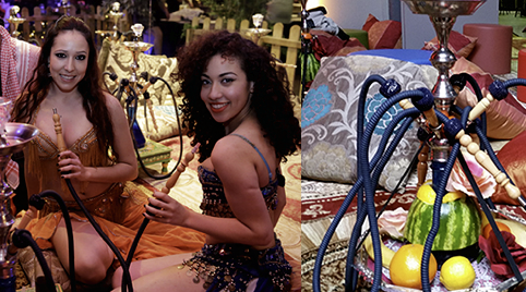 Vrouwelijke slangenbeweerders