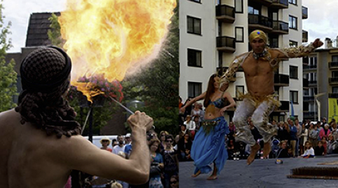 Waarzegster en slangen act