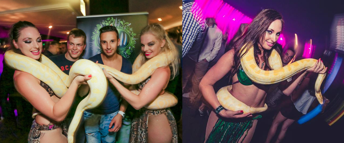 Dj, licht en slangen act