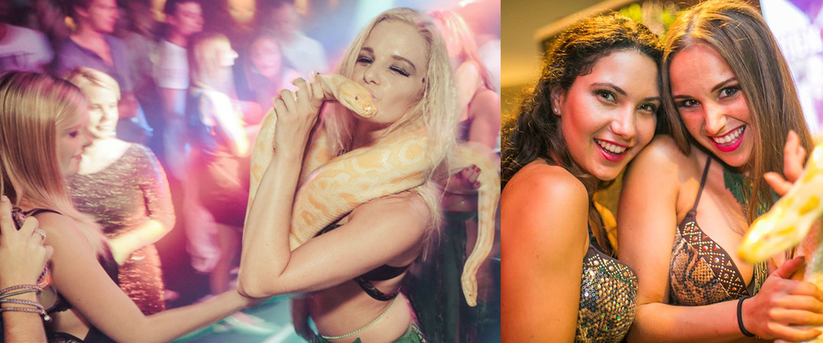 Meestgestelde vragen over een slangen act