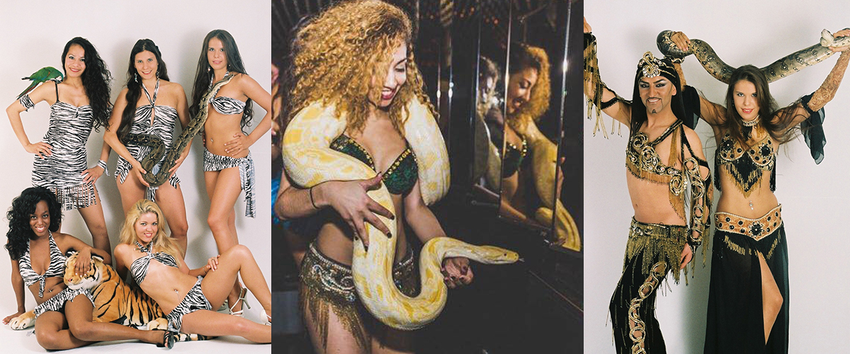 Prijs van optredens met slangen