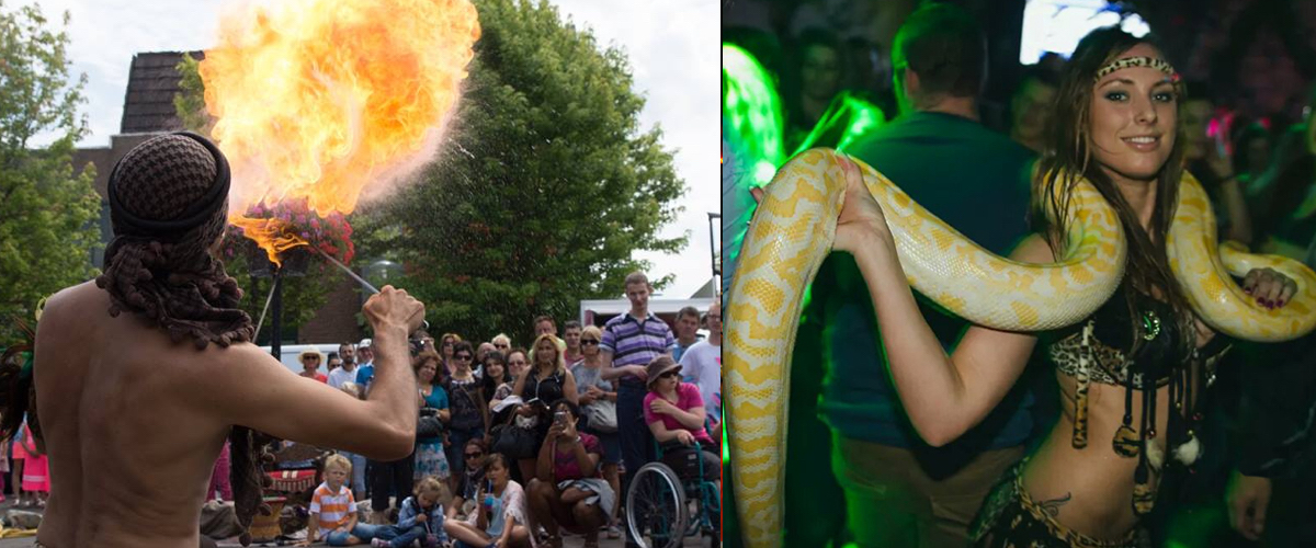 Schoenenpoetser act en slangen act