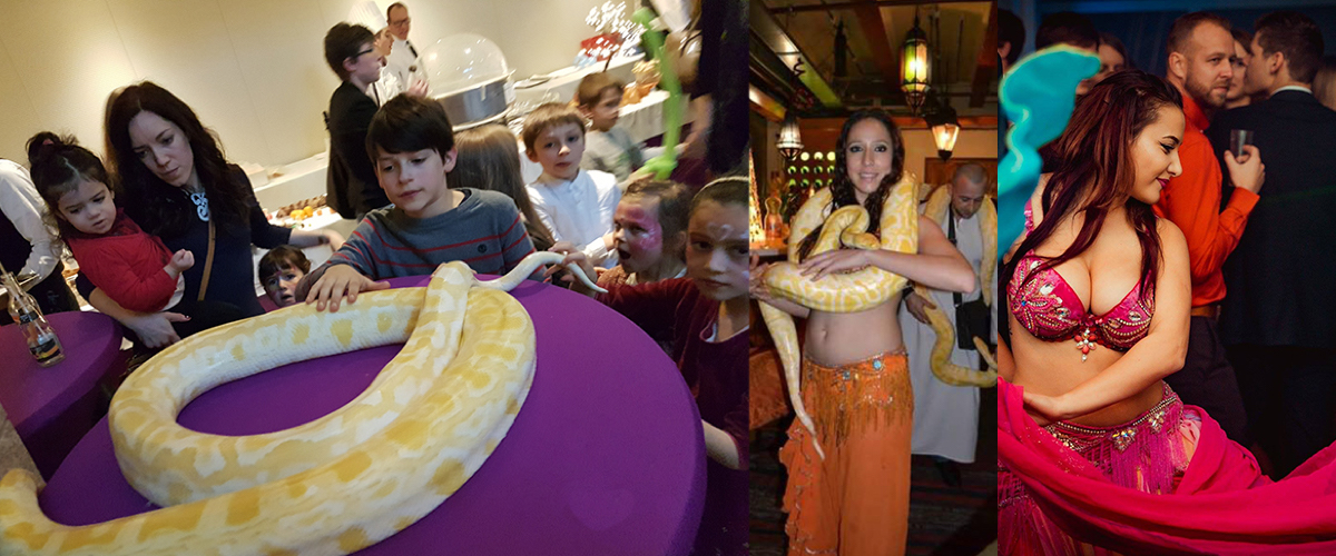 Televisieprogramma act met slangen