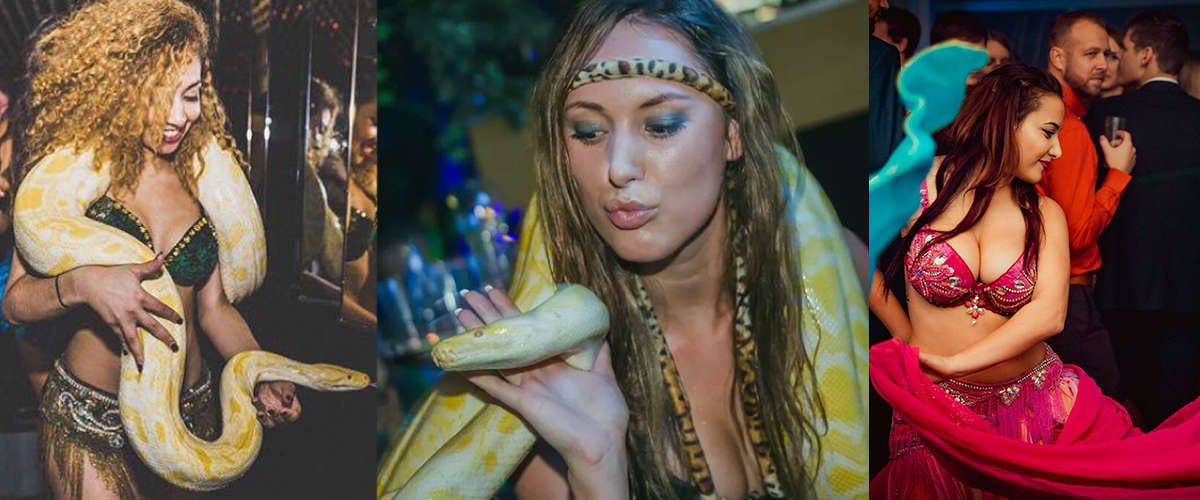 Themafeesten en partijen act