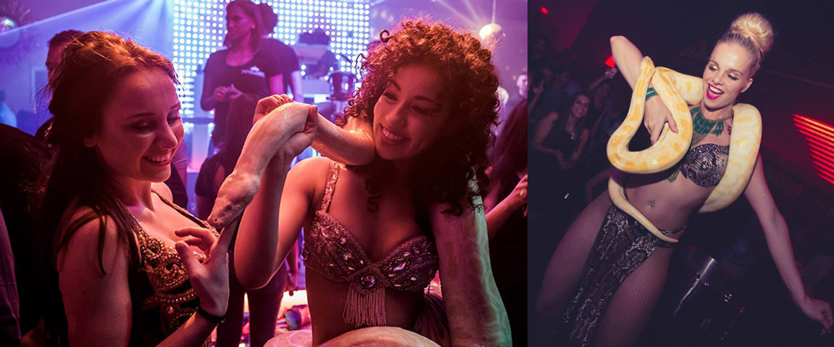 Waarzegster en slangen act